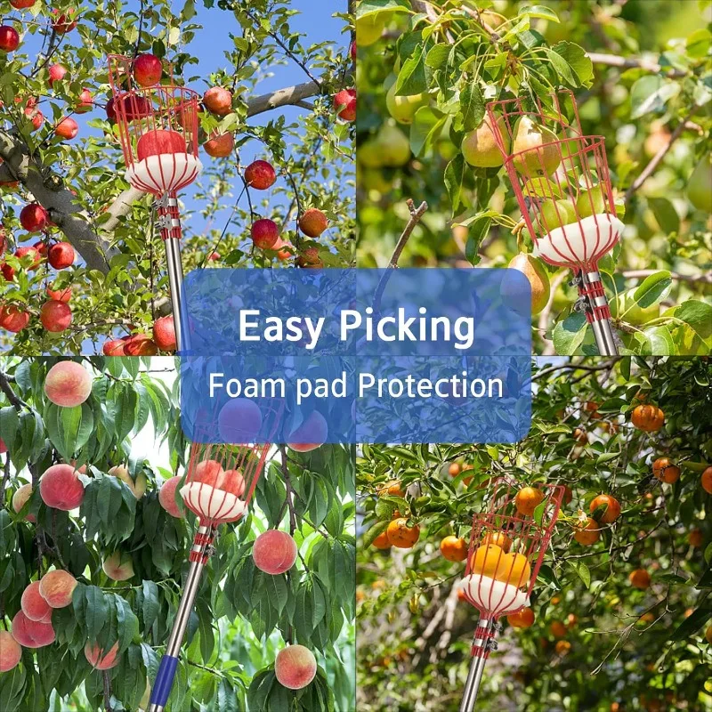 Drążek do zbierania owoców ze stali nierdzewnej, regulowany do 2,4 m - narzędzie do zbierania owoców z koszykiem na jagody, cytryny, brzoskwinie, borówki