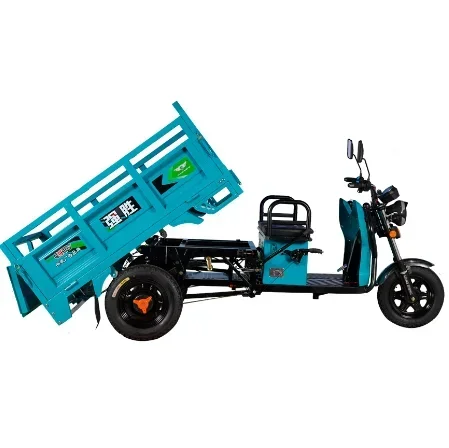 Heavy Duty Electric Cargo Vehicle  High Speed Three Wheel Cargo Bike Truck Cargo Tricycle