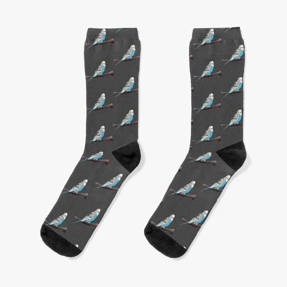 

Blue Parakeet/Budgie Socks new in's designer winter gifts anti slip football Socks Women Men's