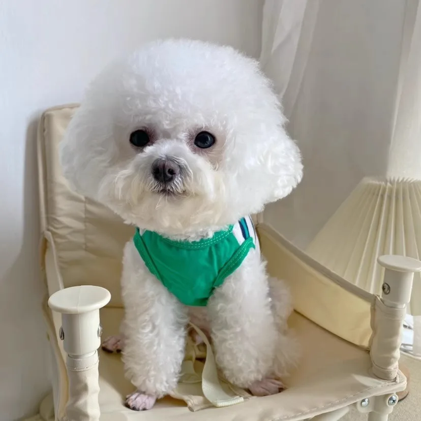 

Pet Dog Patchwork Striped Vest Teddy Summer Clothes Bichon Frise Breathable Thin Pullover Cute Schnauzer T-Shirt