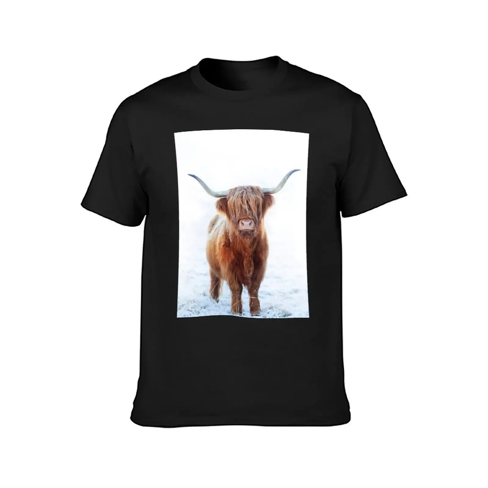 Highland cow, Scotland. T-Shirt customizeds anime tshirt shirts graphic tees street wear plus size men clothing