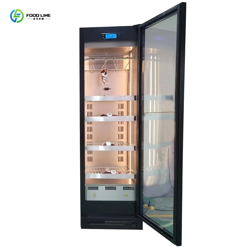 FL 2026 New Commercial Stainless Steel Steak Fridge Cabinet Humidity Control Meat Dry Ager Thawing Refrigerator Steak Beef