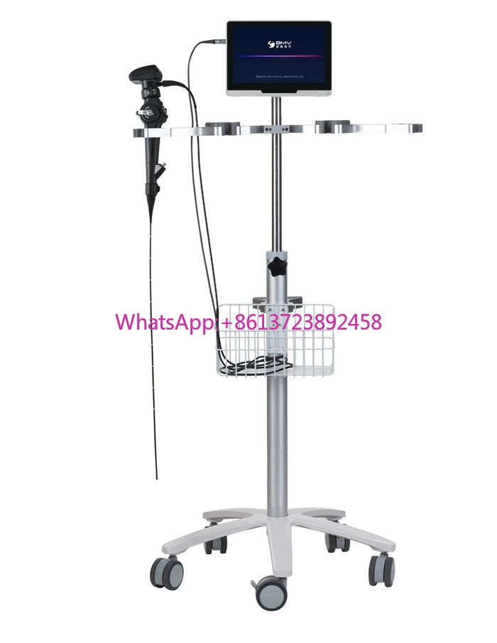 Portable endoscopic For Veterinary use Full Hd 1080p Integrated Ent/laparoscopy/urology pet dog cat Endoscopy Camera