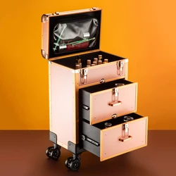 Grote Capaciteit Trolley Make-Up Bagagebox Cosmetische Koffer Kunstenaar Speciale Beauty Tattoo Borduurwerk Manicure Tool Box