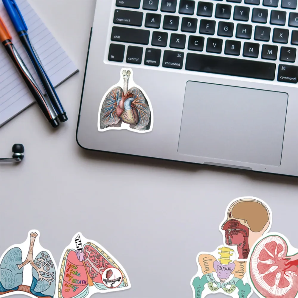 50pcs Cartoon Human Organ Medical Anatomy Stickers Aesthetic DIY Laptop Skateboard Car Waterproof Sticker Classic Toy