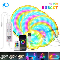 5V USB Bluetooth LED Neon Strip Light RGB CCT 24key Remote Control WS2812B RGBCCT Kit 5050 2835 2 in 1 108LEDs/m IP67 Flex Decor