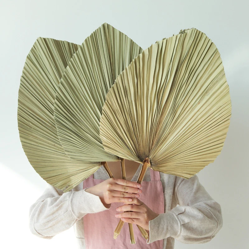 

Handmade Palm Leaf Dried Flowers Chinese Floral Fan Simple Dry Bouquet Creative Decoration Sunflower Fan Wedding Landscaping