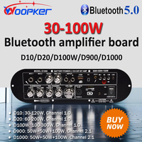 WOOPKER 100W HiFi Bluetooth Amplifier Board D1000/D900/D100W/D20/D10 Bluetooth 5.0 Dual Microphone USB Subwoofer for Car Karaoke