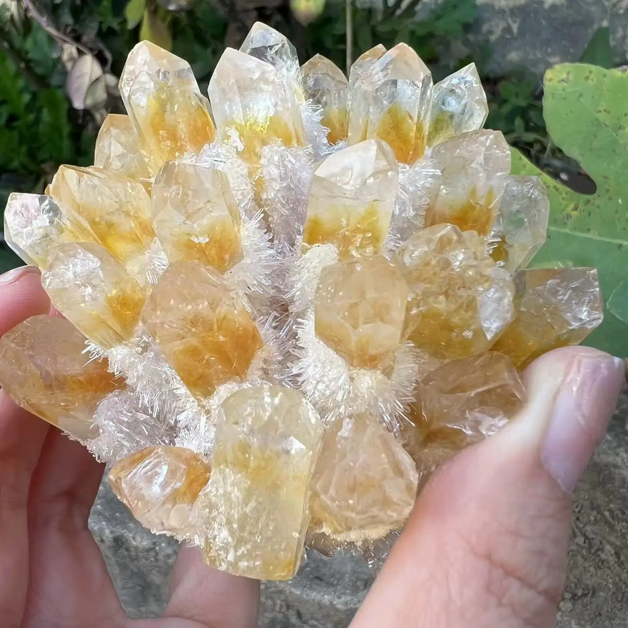 

Natural Citrine Crystal Cluster yellow Quartz Cluster Healing yellow Raw Stones mineral Specimen Home Decoration