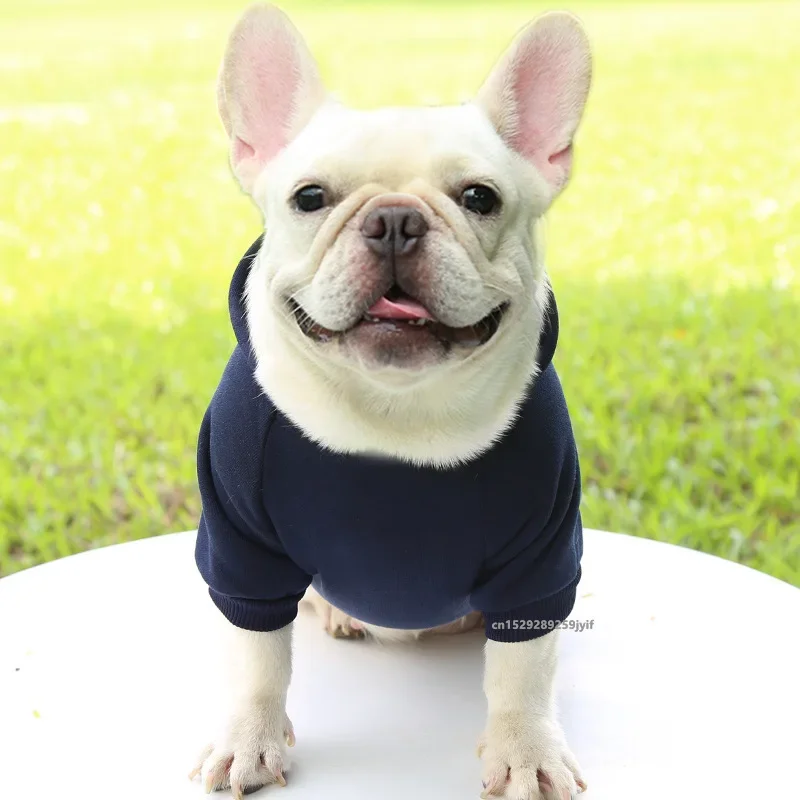 Katzen-Winter-Kapuzenpullover für kleine und mittelgroße Kätzchen, Haustier-Hundemantel, Welpenjacke, Kleidung für Chihuahuas, Französische Bulldogge, Kostüm – Detail 4
