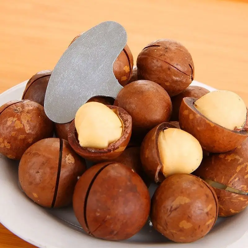 

New 5pcs Mini Nut Crackers Stainless Steel Macadamia Walnut Opener Portable Camping Kitchen Accessories Nut Tools