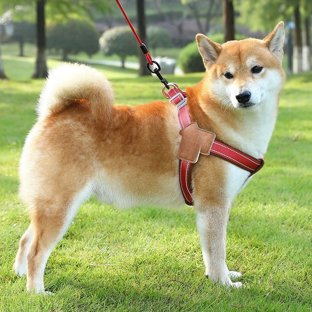 Dog, Leash Strap Shiba Inu Corgi Small and Medium Dogs Adjustable Reflective Anti-Break Free Chest Strap
