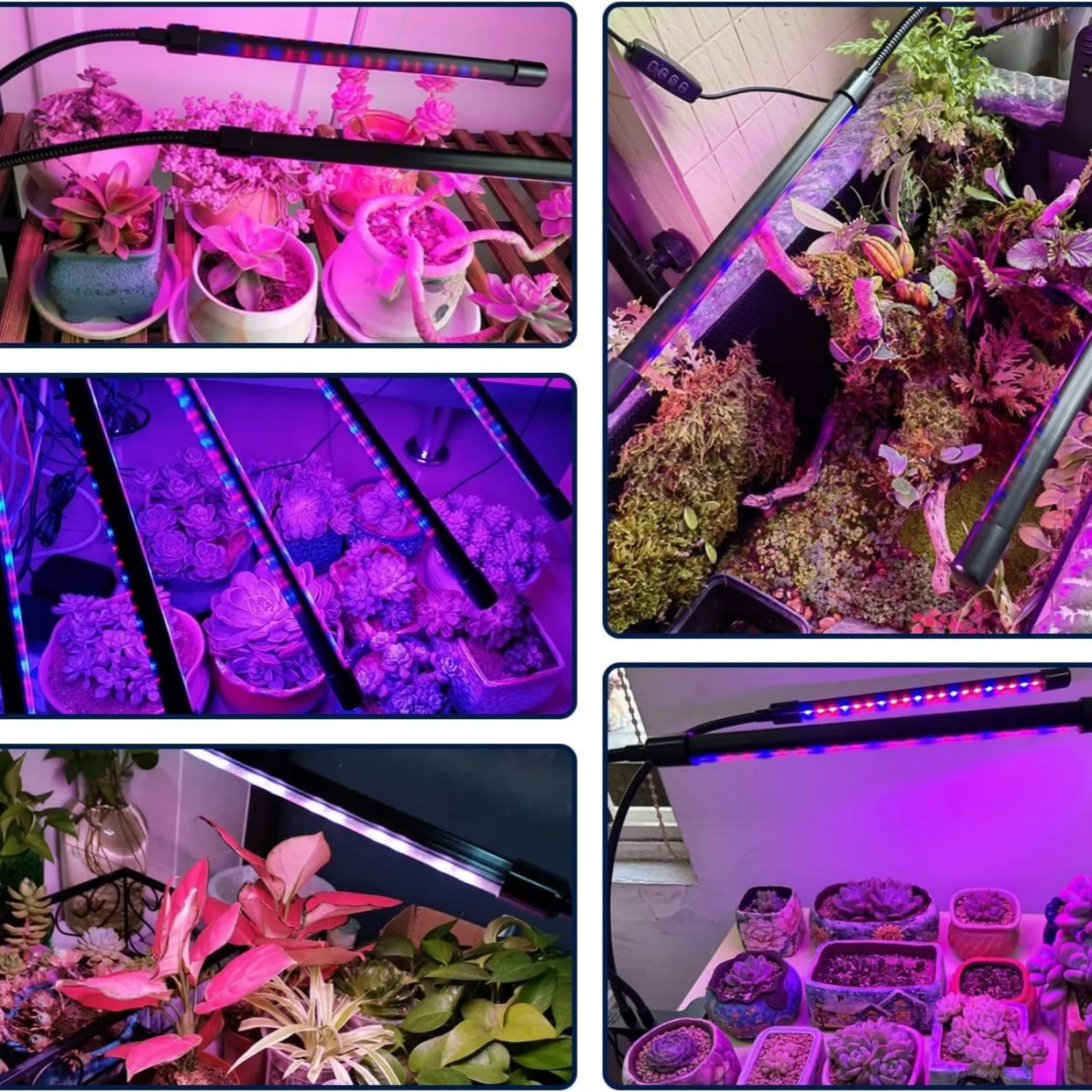 LED USB Grow Light Plants 5V Full Spectrum Light Home Flower Seedling Clip Phyto Lamp Dimmable Timing Control 3/9/12Hours