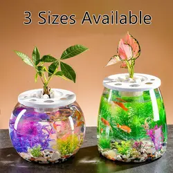 Plastic Transparency with Lid Hydroponic Fish Tank Office Desktop Goldfish Bowl Broken Resistant Home Decor Supplies