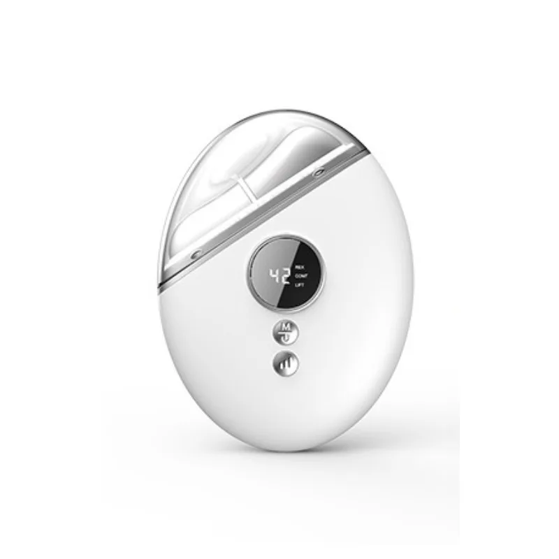 Home EMS Microcurrent Face Massager Color Photon Rejuvenation Skin Lifting Firming Facial Import Instrument