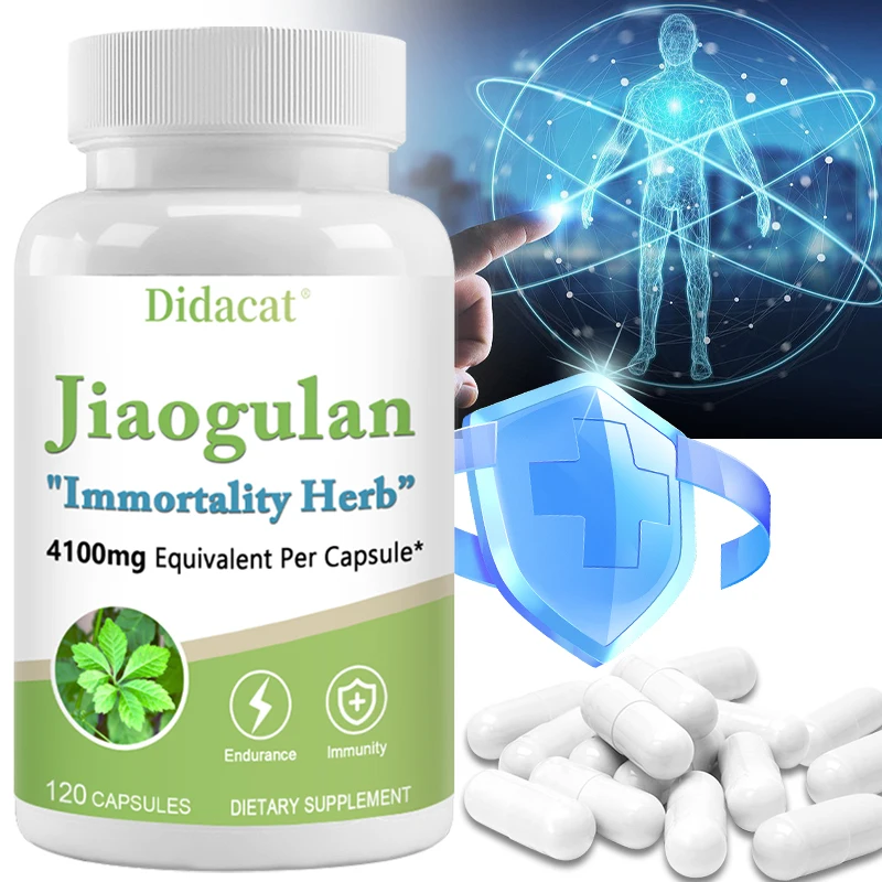 Jiaogulan 410 Mg 120 Vegetarian Capsules (Extract 10:1, Vegan, Non-GMO and Gluten-Free)