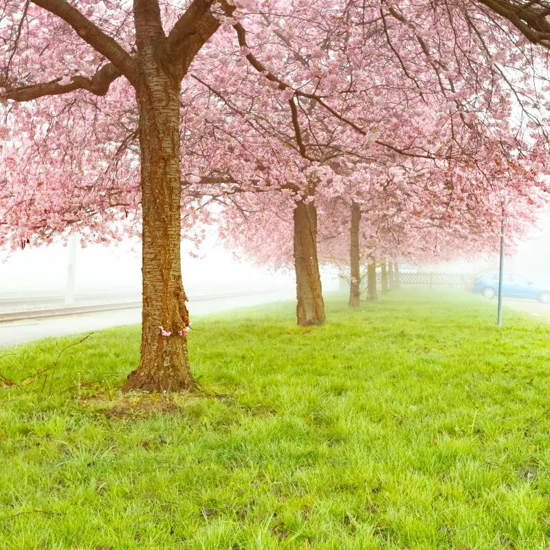春のバルコニーのシーン,写真の背景,都市の海の窓,滝の風景,赤ちゃんの誕生日の背景