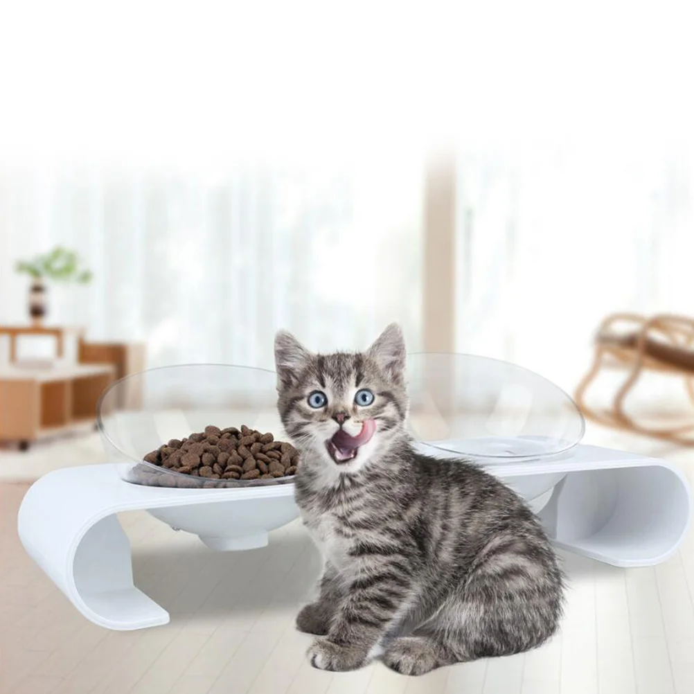 Rust Resistant Pet Bowl Oblique Double Bowls Angle Adjustable Dual Feeders The Cat Odorless Automatic Dog