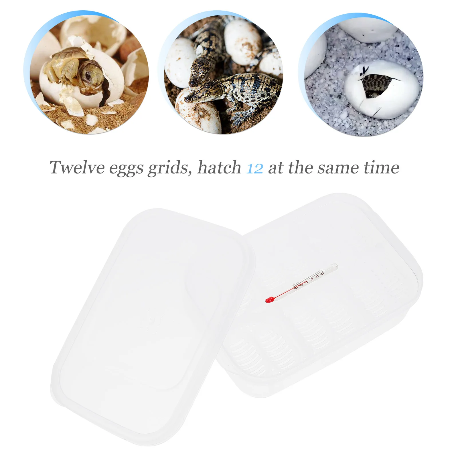 

1Pcs Reptile 12 Holes Egg Incubator Tray Compact Durable Breeding Box for Small Reptiles Egg Incubator