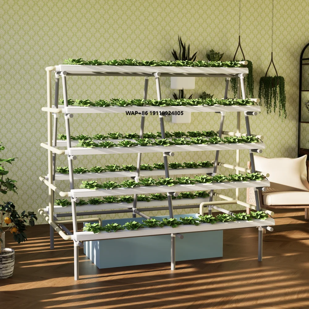 

Vertical NFT A-Frame Hydroponic System 100 Sites for Indoor & Outdoor Lettuce Growing