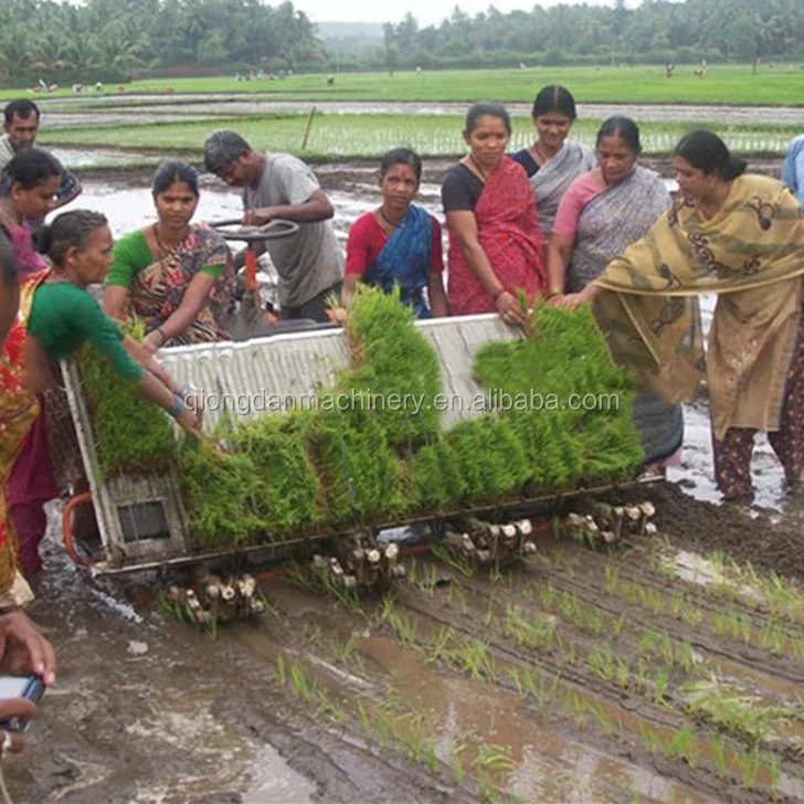 6 rows high efficiency paddy rice planter paddy rice seeder