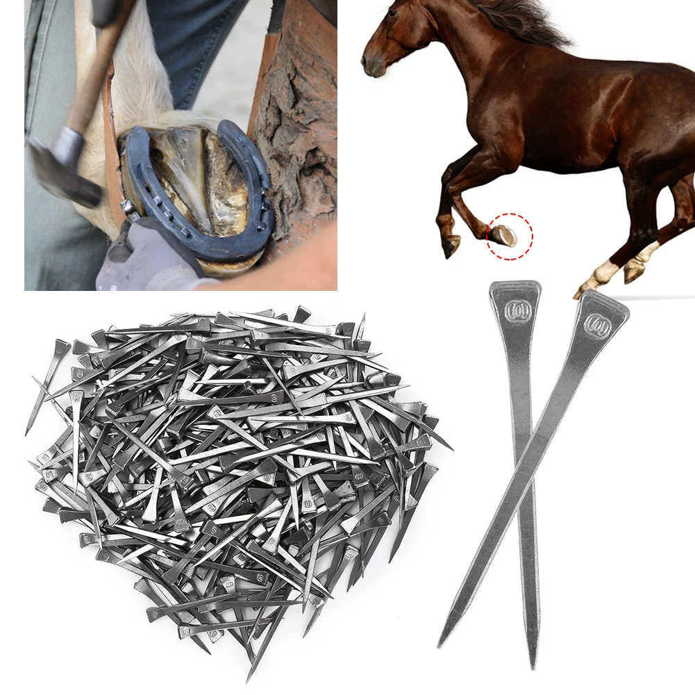 250PCS E6 High Quality Horseshoe Nail Steel Hoof Peg Securing Firmly Horse Tool Accessory