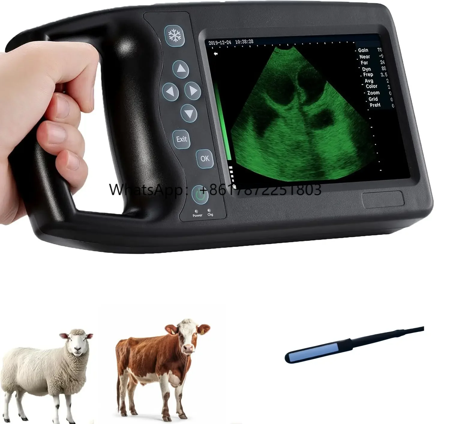 

Handheld Veterinary Medical Ultrasound Instrument for Farm Animals-Detecting in Dogs Sheep Pigs