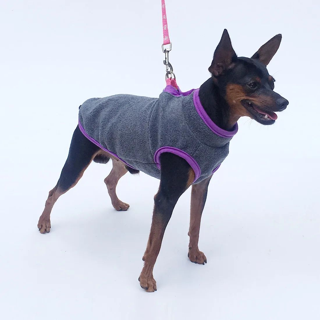 

Yorkie Stand-Up Collar Hoodie European and American Warm Fleece Sweatshirt (Sleeveless) Lightweight Fleece Teddy Winter Clothing