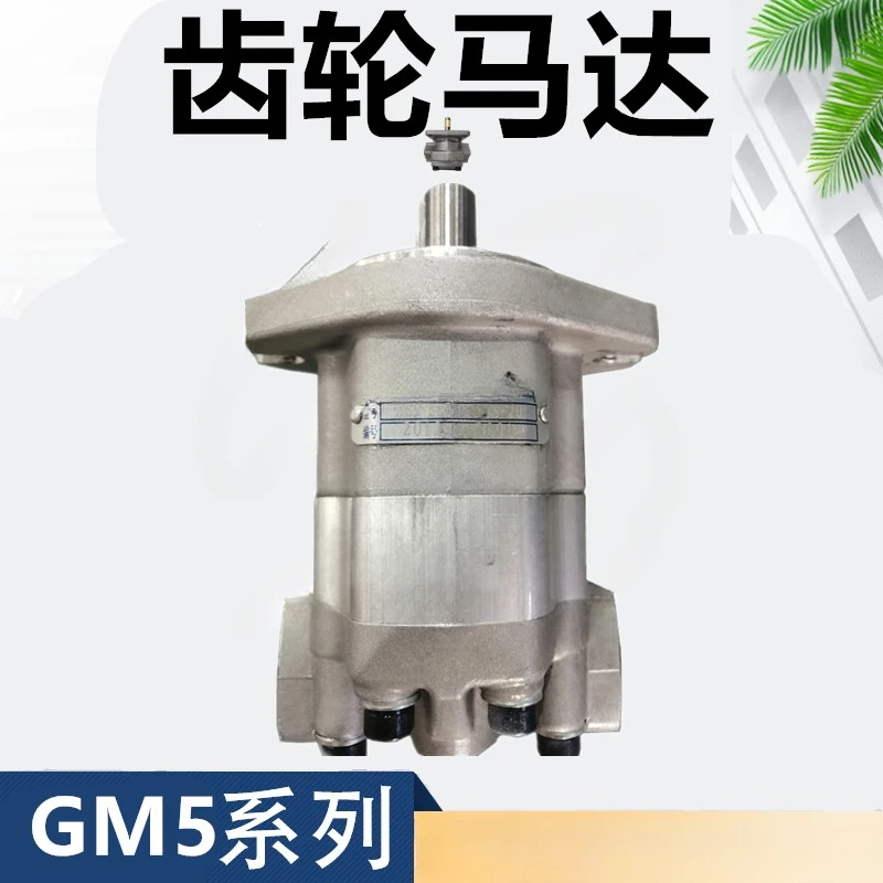 GM5-20-1FE13S-20 High Speed Gear Motor 5/6/8/10/12/16/25/30