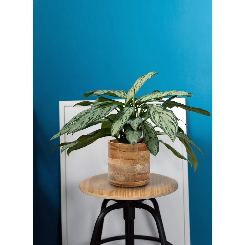 Set Cachepot kayu mangga, dengan tinggi 4, 9 inci Diameter & 8.5 inci, cocok untuk tanaman dalam ruangan dalam pot