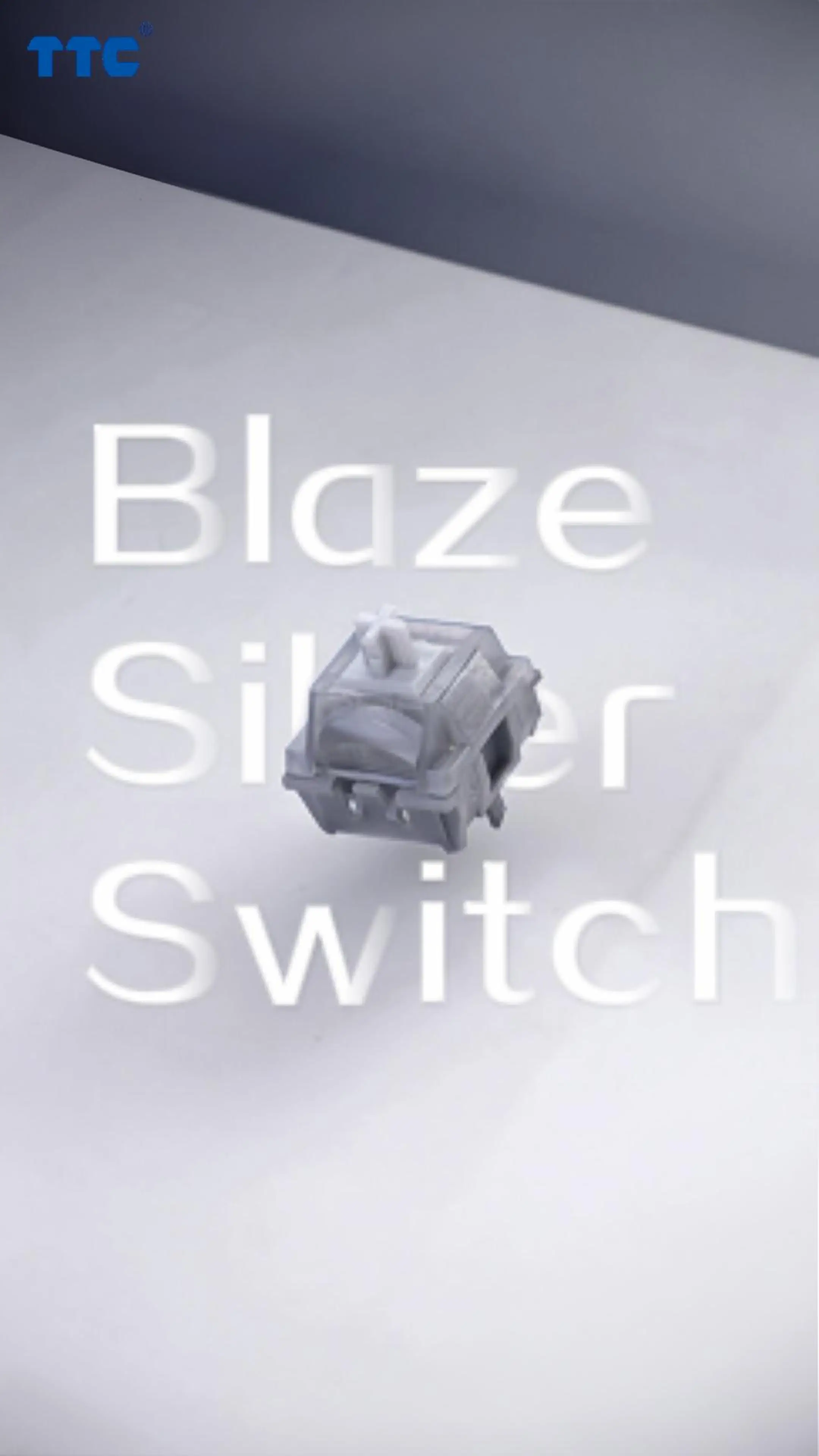 

TTC Blaze Silver Mechanical keyboard Switch, Hifi Style