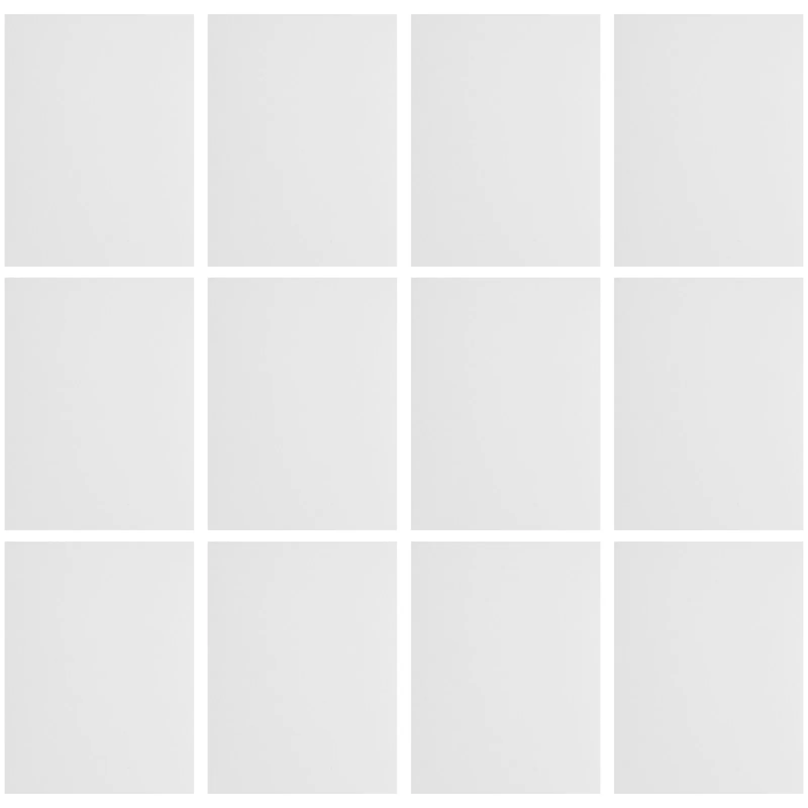 20Pcs Wall Panel Repair Stickers Self-Adhesive PVC Siding Patch for Mobile Home Skirting Hole Covering Siding Vinyl Floor Repair