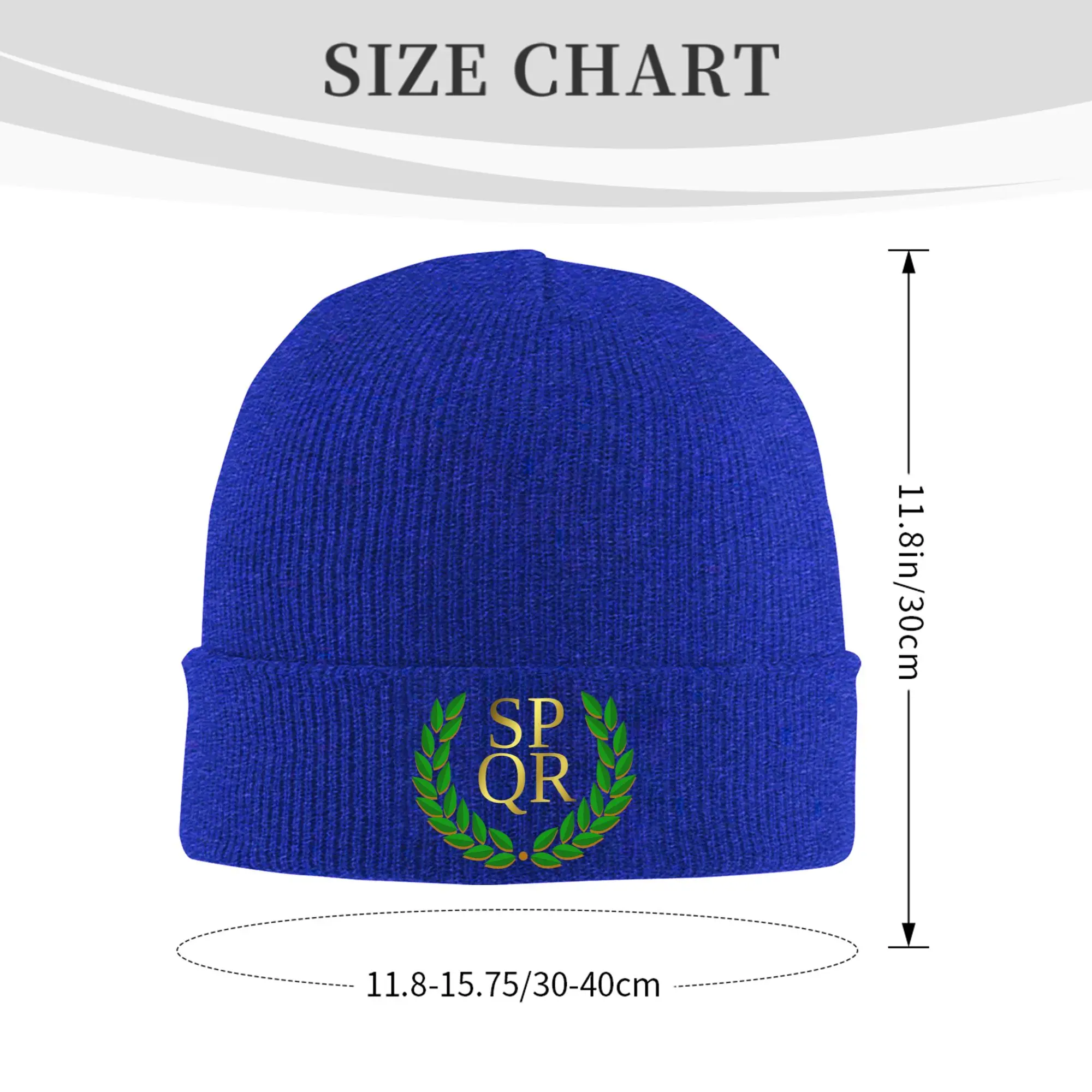 Ancient Roman History Carthago Delenda Est Latin Quote SPQR Imperial Eagle Winter Skullies Beanies Hat Knitted Hats Bonnet Cap