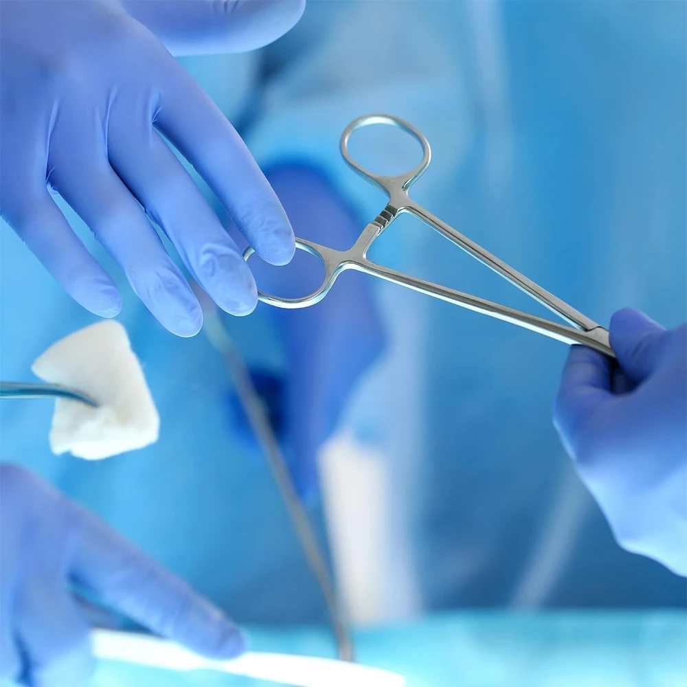 AG 1Pcs Stainless Steel Hemostatic Forceps Surgical Forceps Tool Hemostat Locking Clamps Forceps Curved/Straight Tip