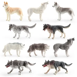 Simulation Wildlife Animals Wolf Model Action Figures Ornament Decoration Miniacture Siberian Husky Figurines Kid Education Toys