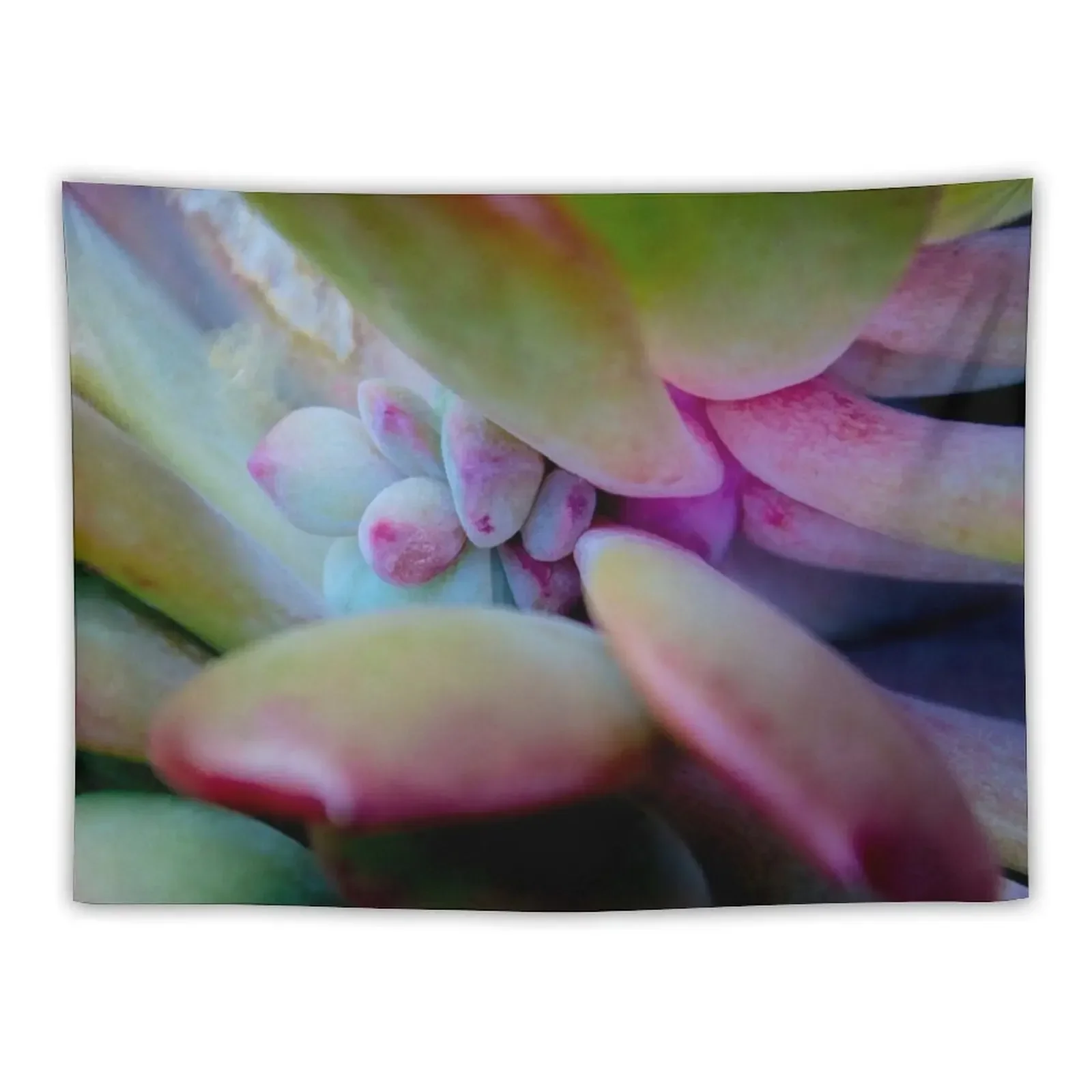 succulent detail Tapestry Room Aesthetic Decor Wall Hangings Decoration Outdoor Decor Tapestry