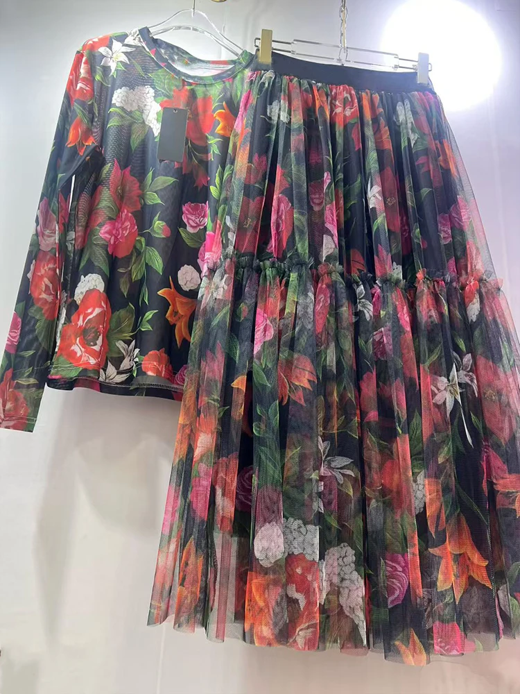 Retro mesh elastic long-sleeved top spring and summer new elastic waist big swing skirt fashion print women's two-piece dress - Image 3