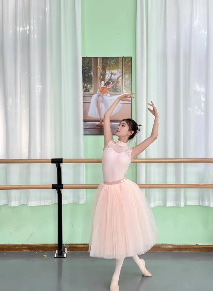 

Stand Collar Embroidered Ballet Leotards Women Dance Costume One Piece Gymnastic Training Suit