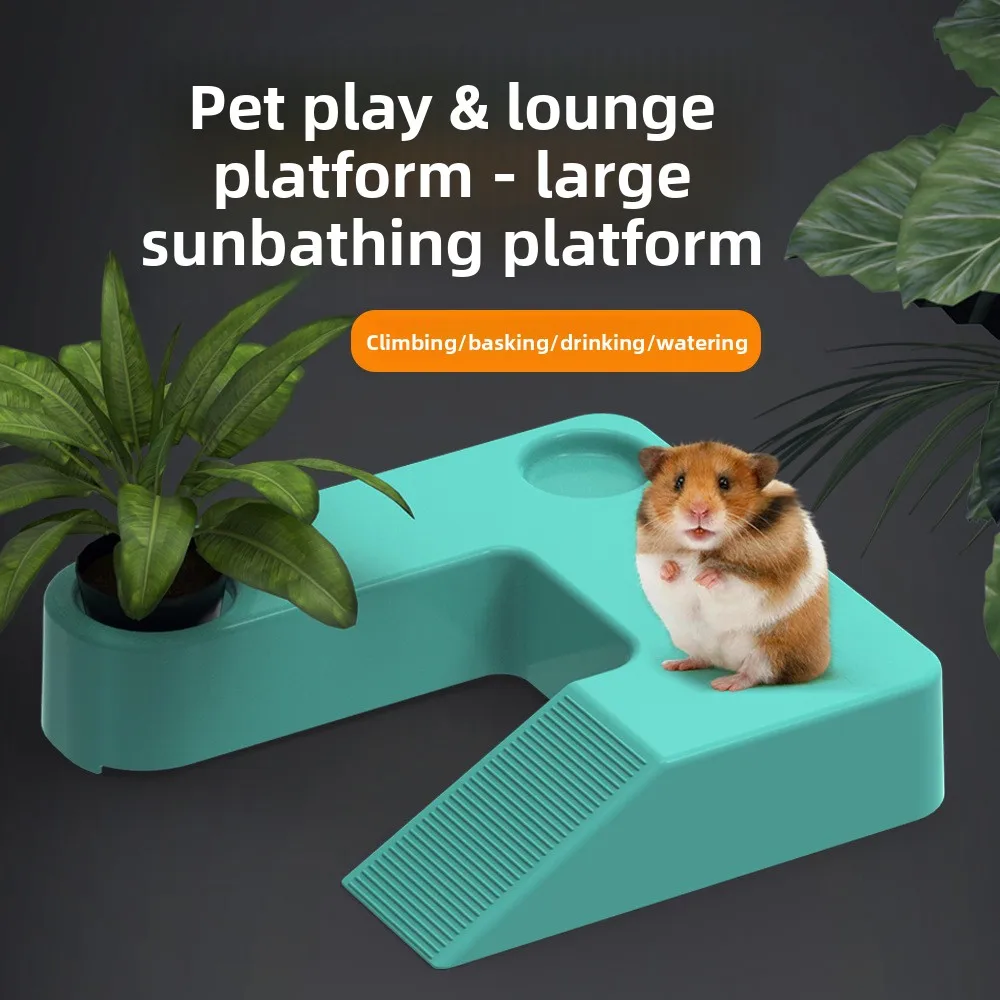 

NOMOY 2-in-1 Water & Land Turtle Ramp - Basking Dock for Hedgehog, Hamster, Aquarium & Terrarium