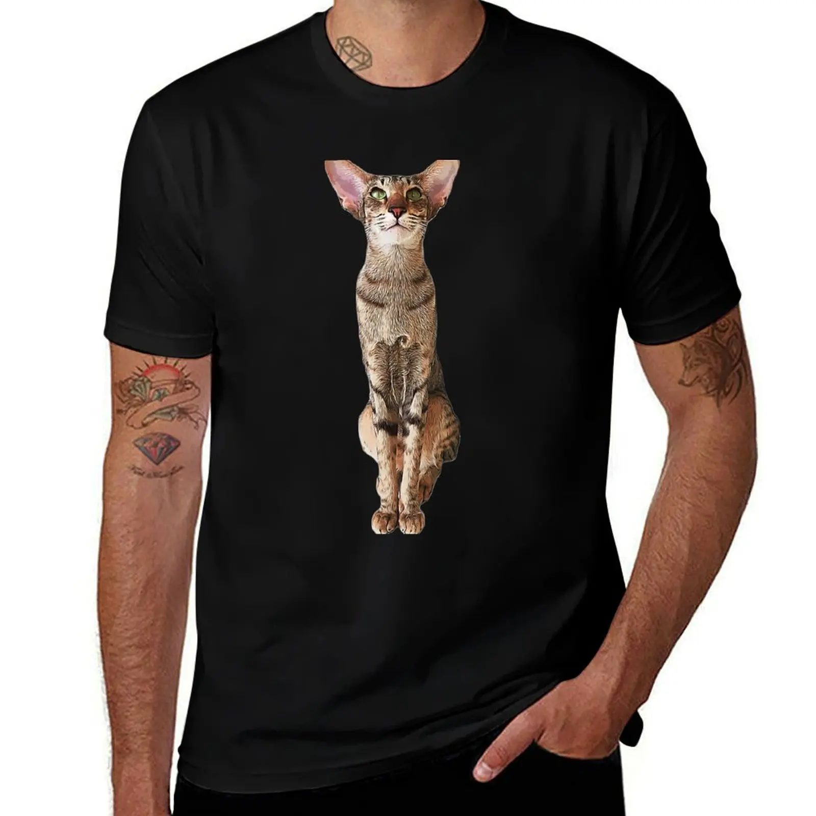 

Oriental Cat Cute Tabby Kitten T-Shirt man t shirt summer funny t shirts man man t shirt luxury T-shirt