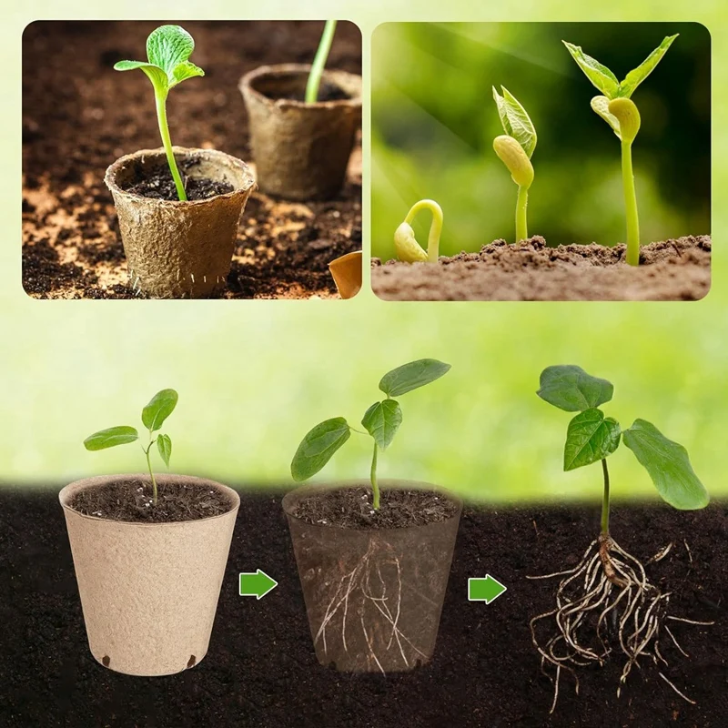 130 Pcs Organic Peat Pots Round Plant Seedling Pots With Drainage Holes, Seed Starting Starter