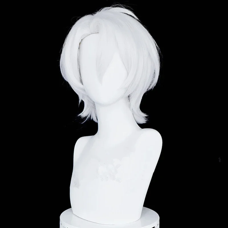 The Case Study of Vanitas Blue Black Wig Noe Archiviste Silver White Cosplay Wig Heat Resistant Synthetic Hair Wigs   Wig Cap