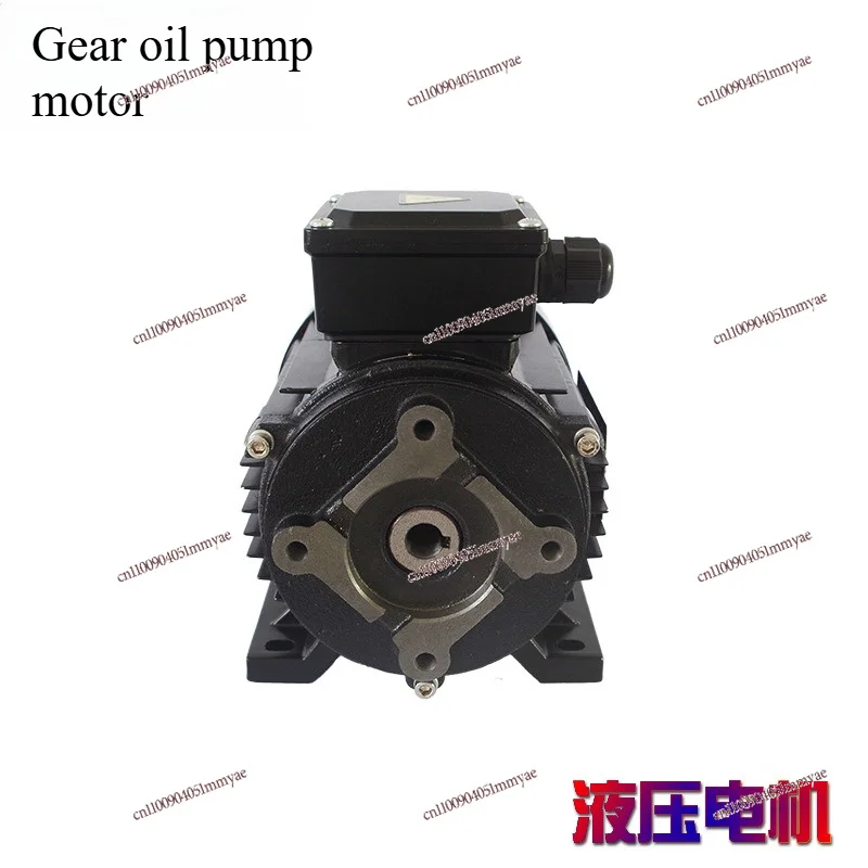 Pure Copper Wire Three Phase Asynchronous Motor Aluminum Housing Inner Shaft Gear Vane Drive Unit
