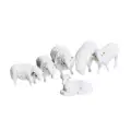 6 Sheep