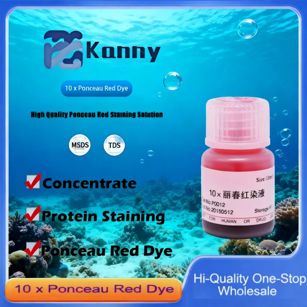 10 x Ponceau Red Dye for Protein Staining and Visualization in Laboratory Applications Original Product