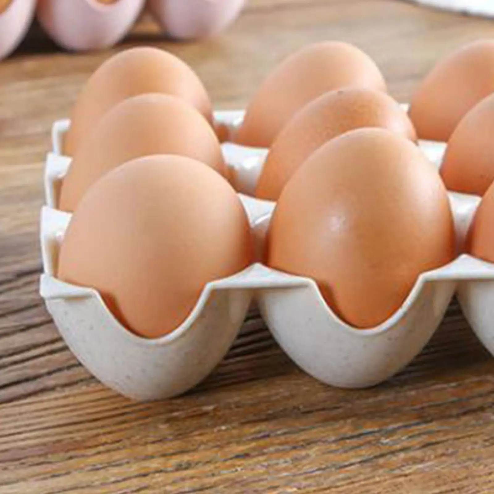 

Plastic Egg Holder Storage Box Easy to Clean Stackable Egg Holder Tray Lightweight for Kitchen