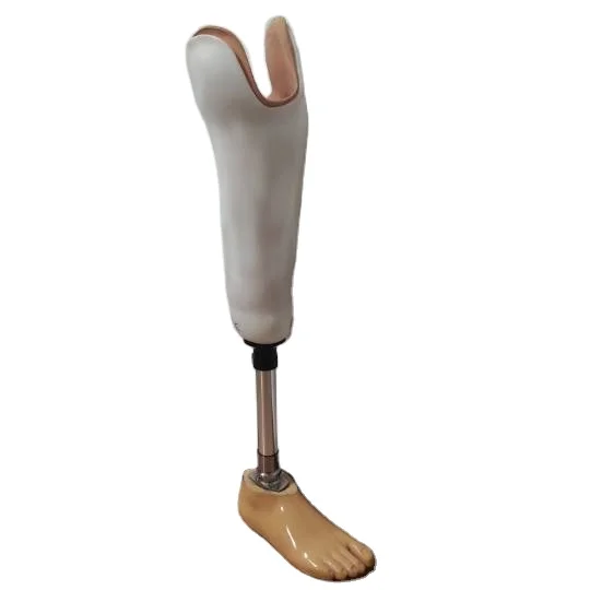 Artificial Limbs Leg  prosthetic leg  Below Knee joint for Leg  prosthesis prosthetic foot