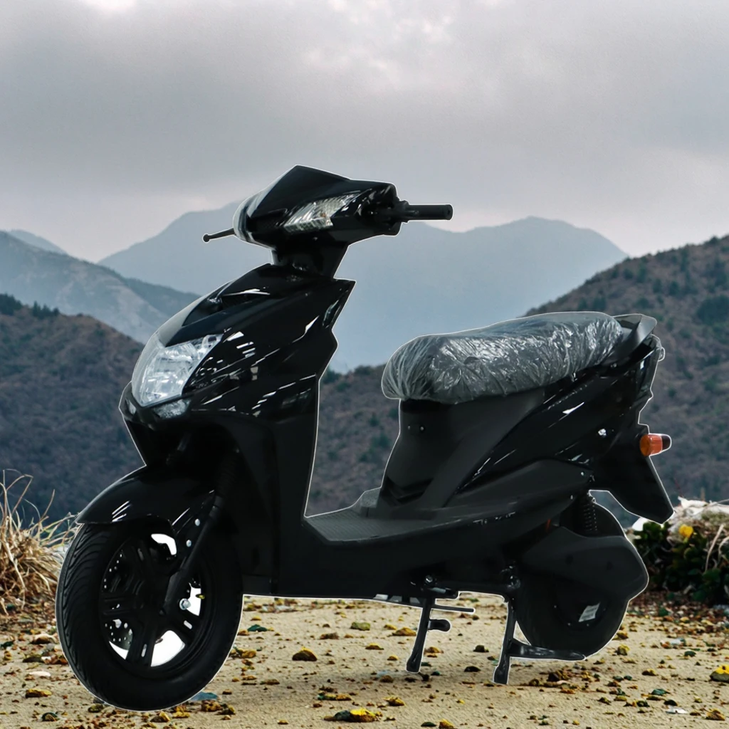 Customized Lithium/Lead-Acid Battery Electric Scooter Motorcycle Motorbike