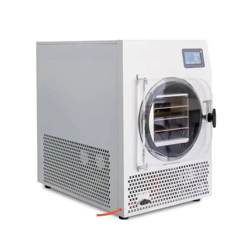 

Small Vacuum Fruit Dried Cooling Drying Equipment Freeze Dryer Hine