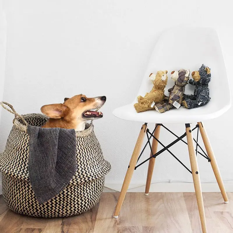 Jouet en peluche robuste IndeBuckle pour grands chiens, compagnon pour chien, rapchewers, ours grinçant